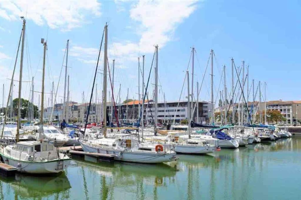 Le Coin Du Curiste - Port De Plaisance *
